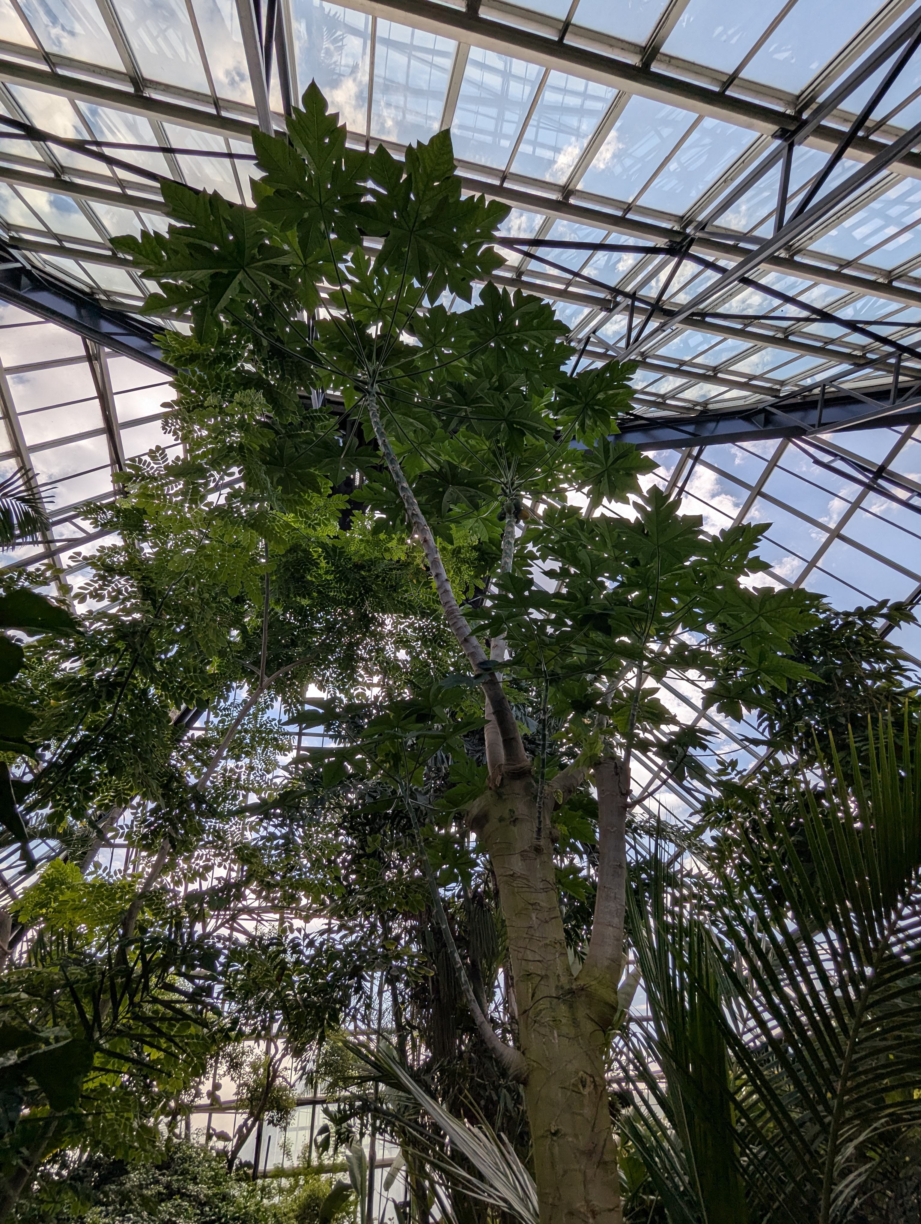 Birthday Trip to Canada, Edmonton, Pyramids, Muttart Observatory